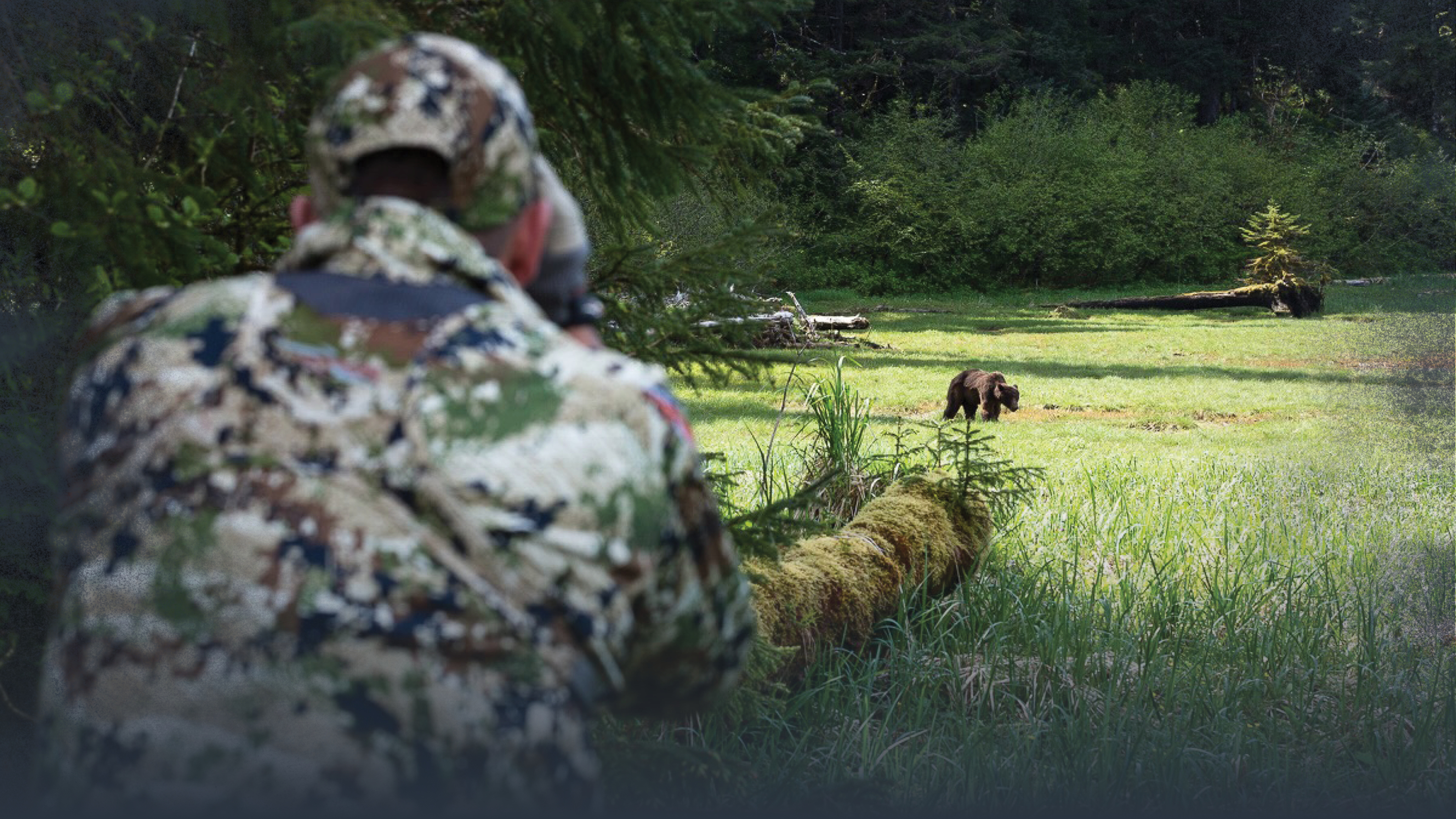8: Bear Country