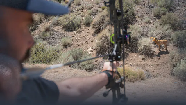 Shooting Angles