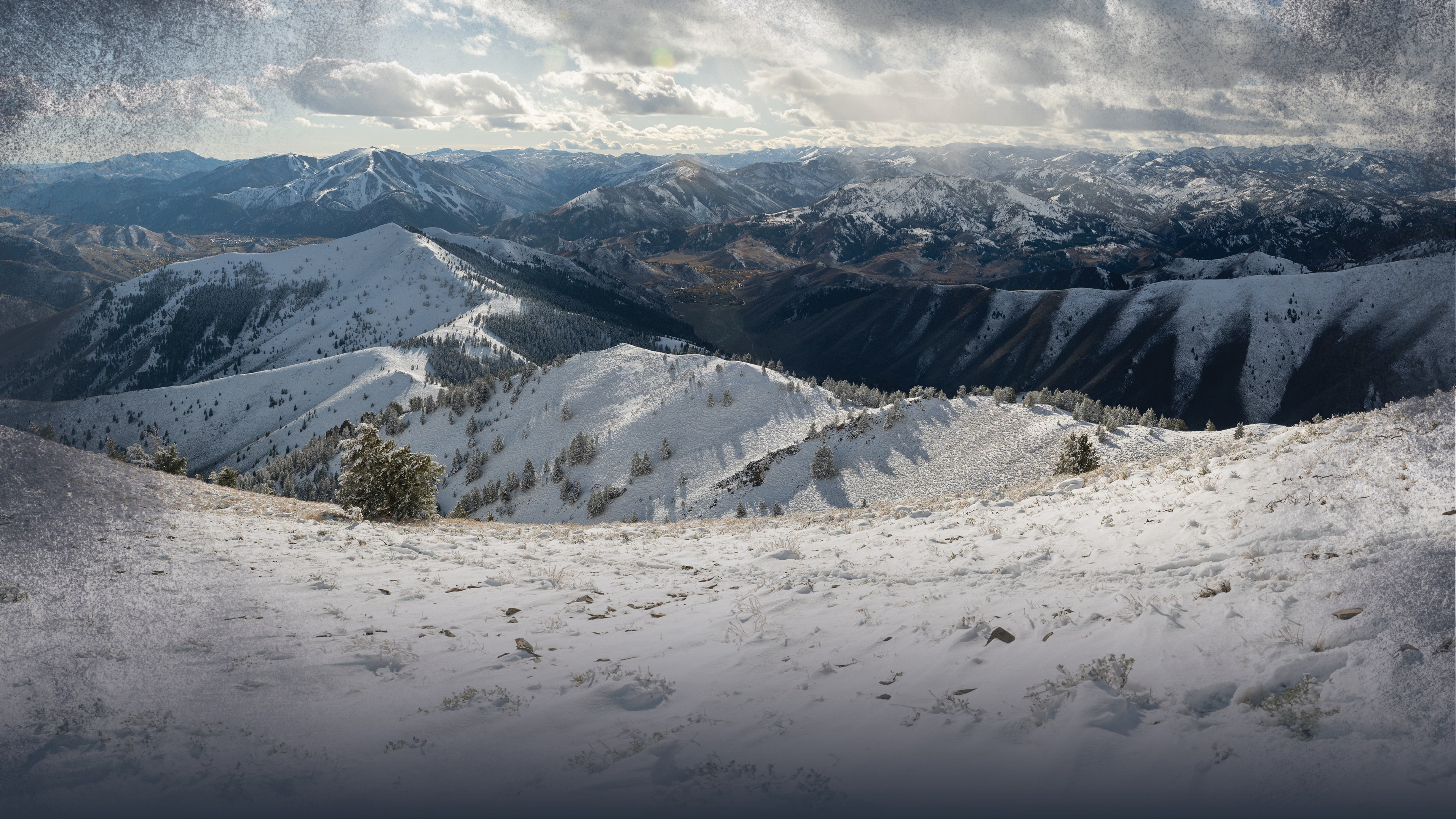 Mule Deer Migration