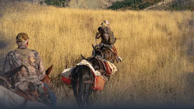 4: Pack Saddles: Sawbuck vs. Decker