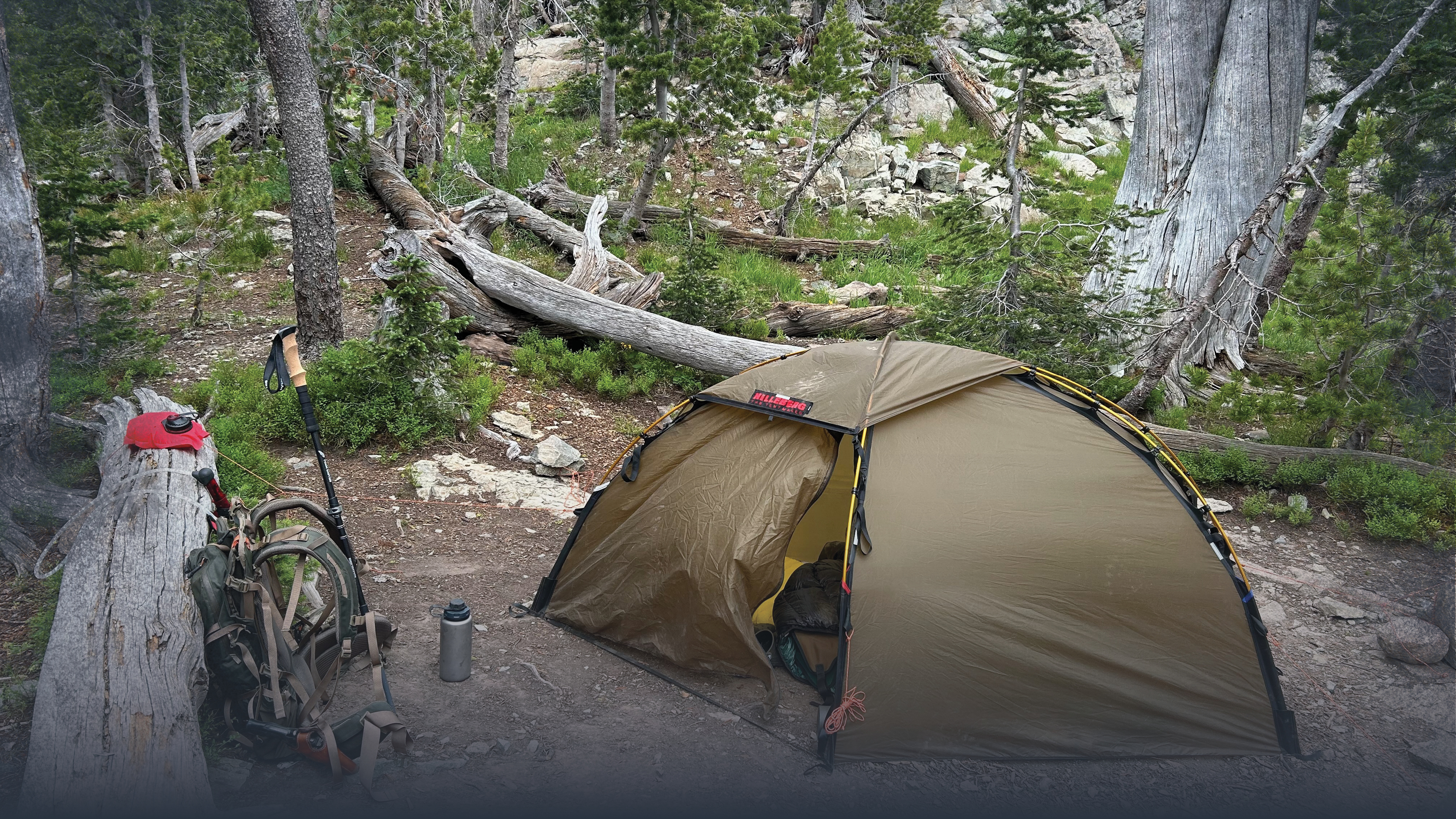 Backcountry Shelters