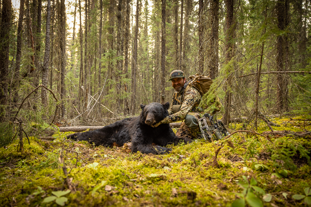Introduction: Spot-and-Stalk Bear Hunting