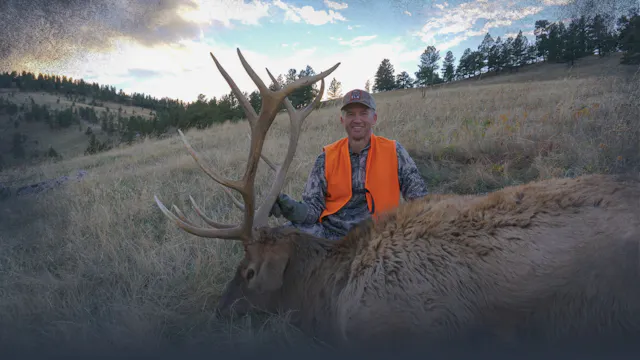 Five Calendar Periods of Elk Hunting