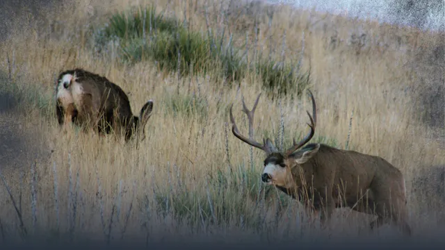 10: Rut Tactics