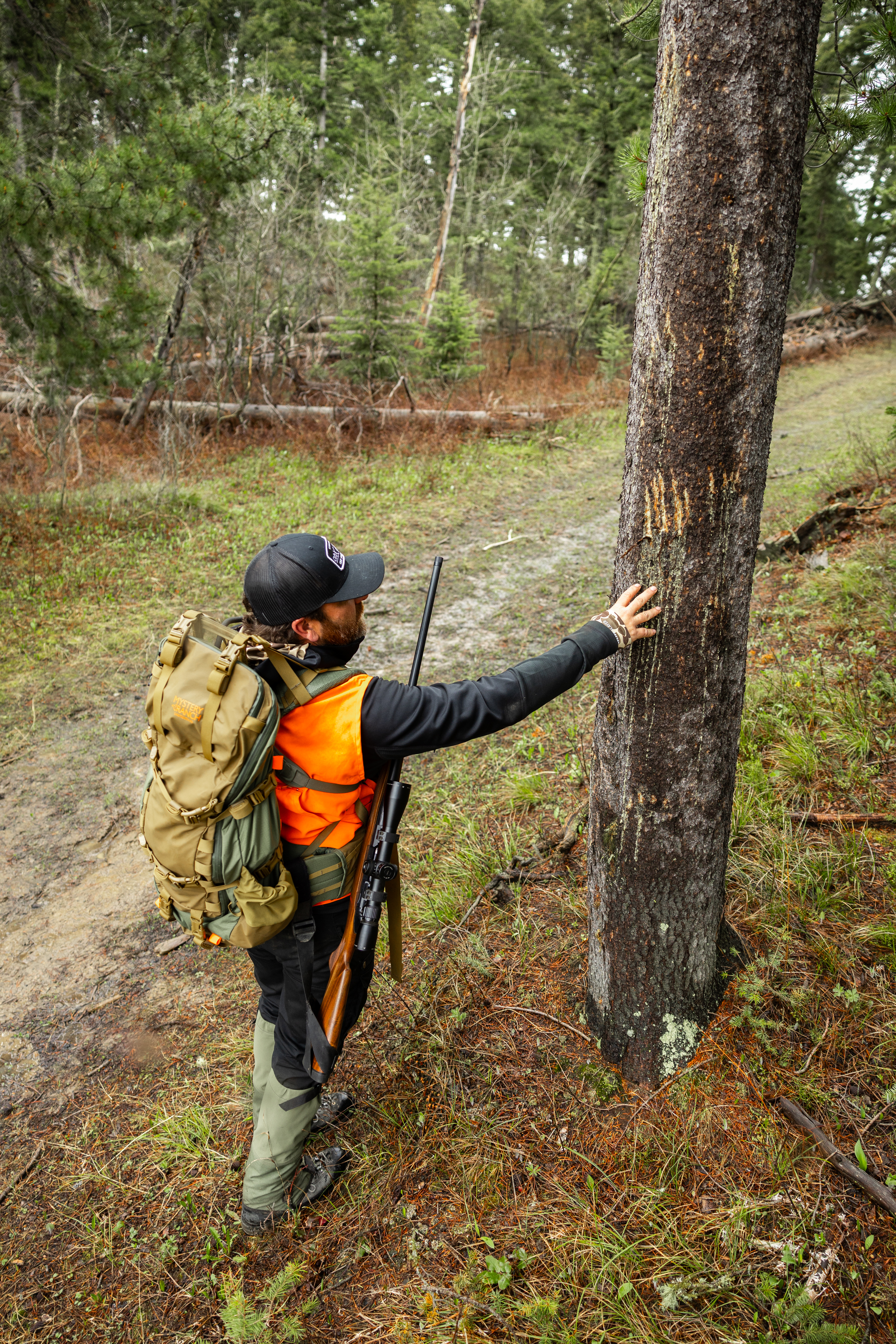 Chapter 5: Effective Stalking & Set Up Methods