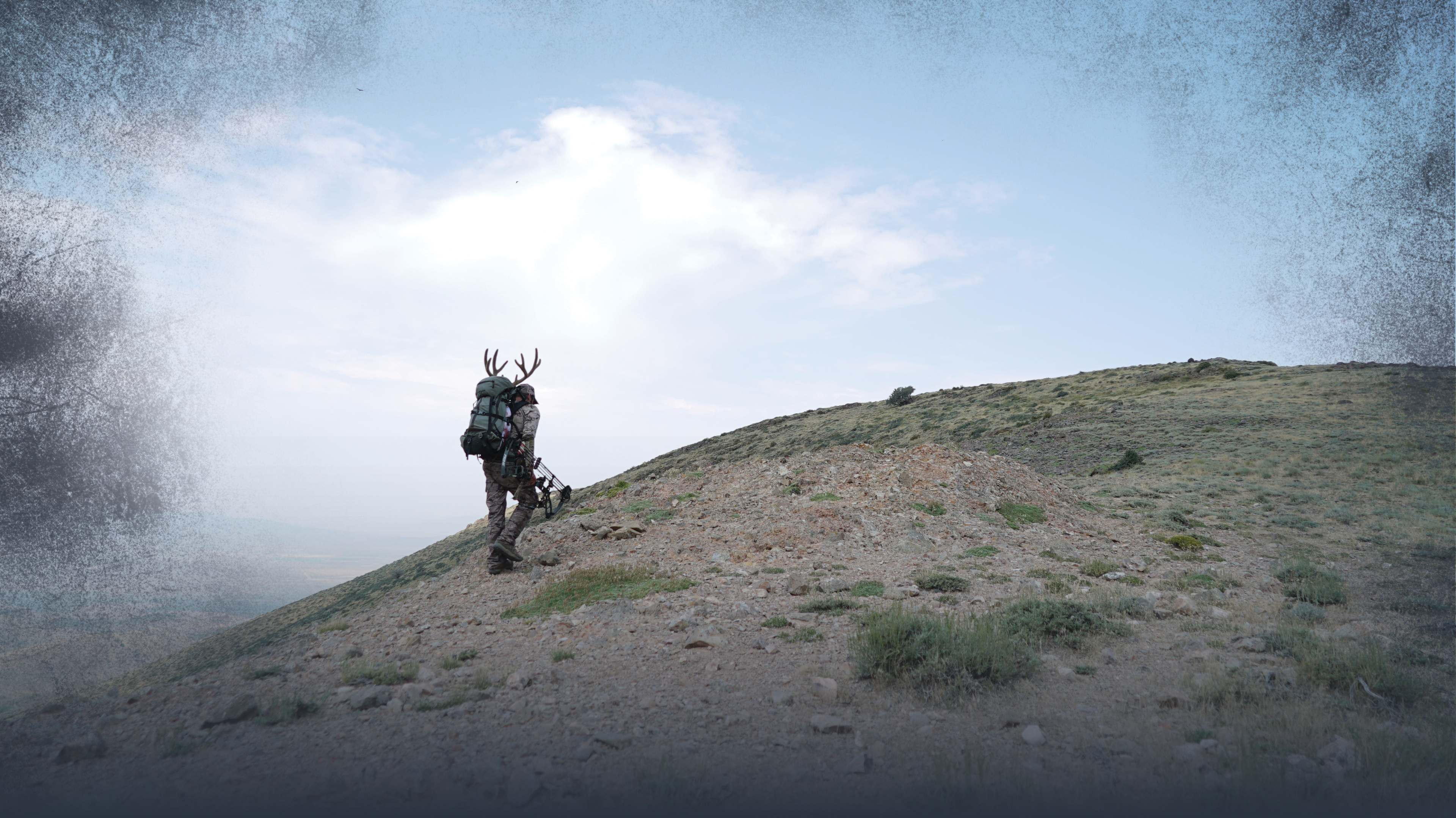 Top Ten Things to Consider Stalking Mule Deer