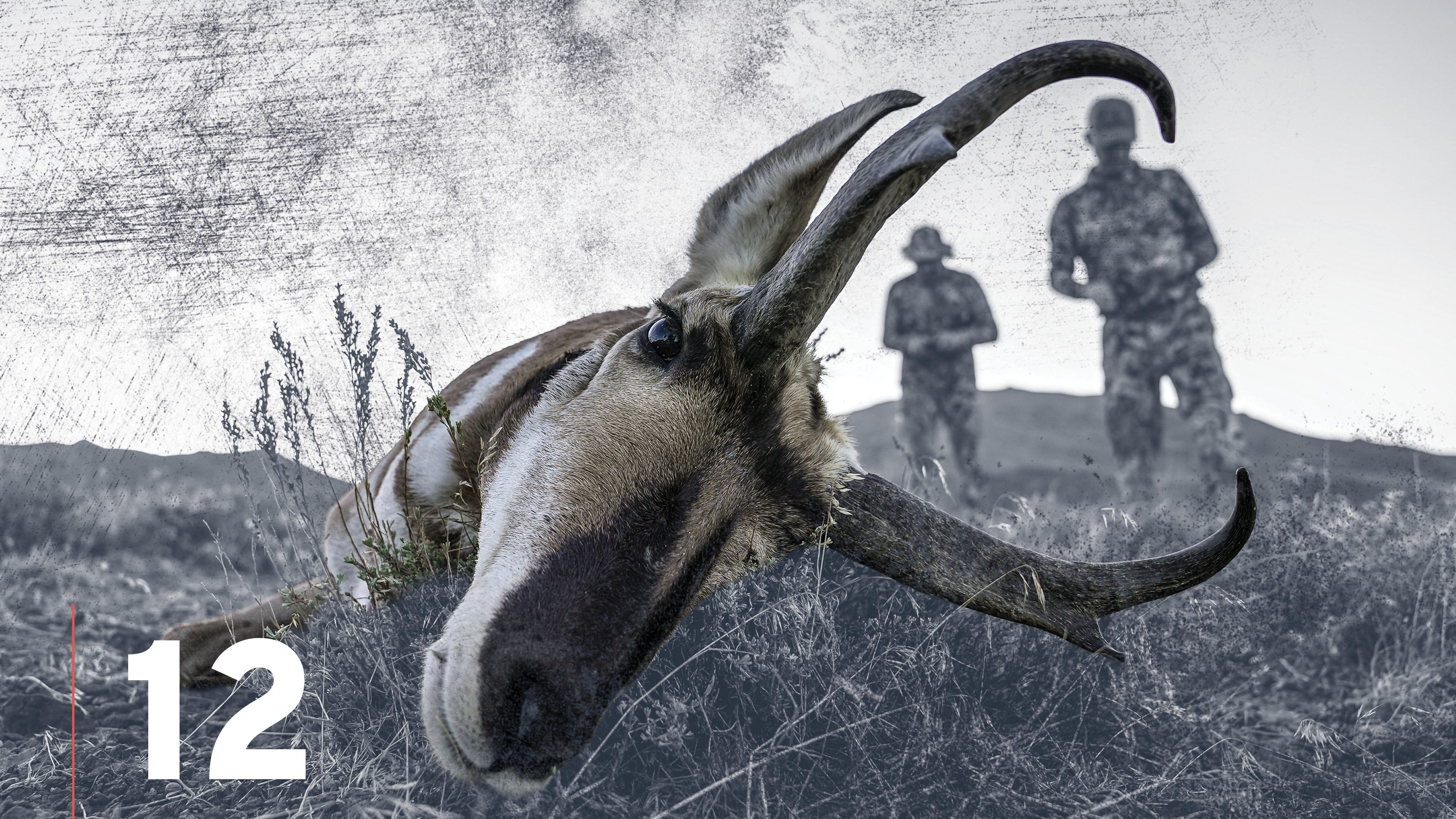 Top Ten Pronghorn Antelope Hunting Tips