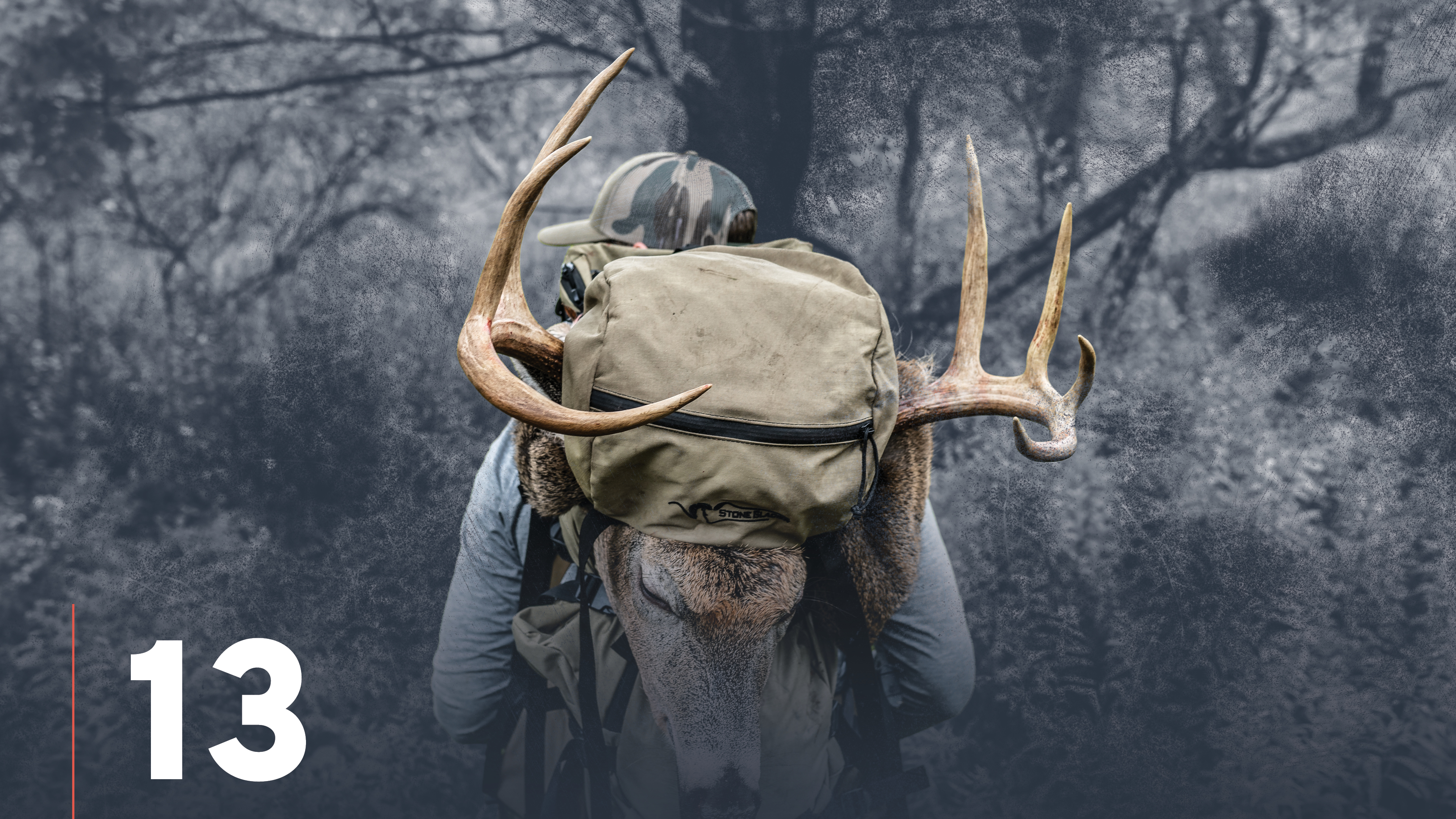 Top Ten Scouting Whitetail Deer Takeaways