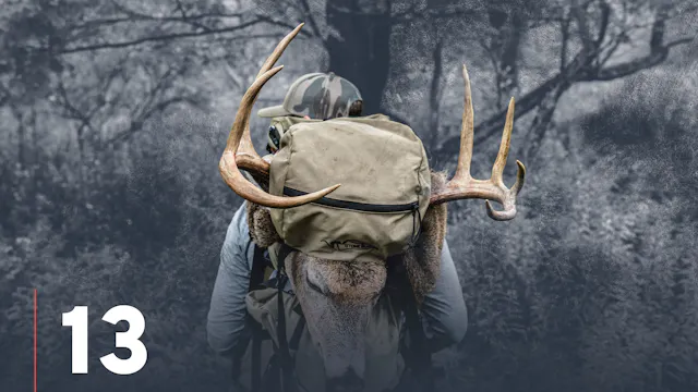 Top Ten Scouting Whitetail Deer Takea...