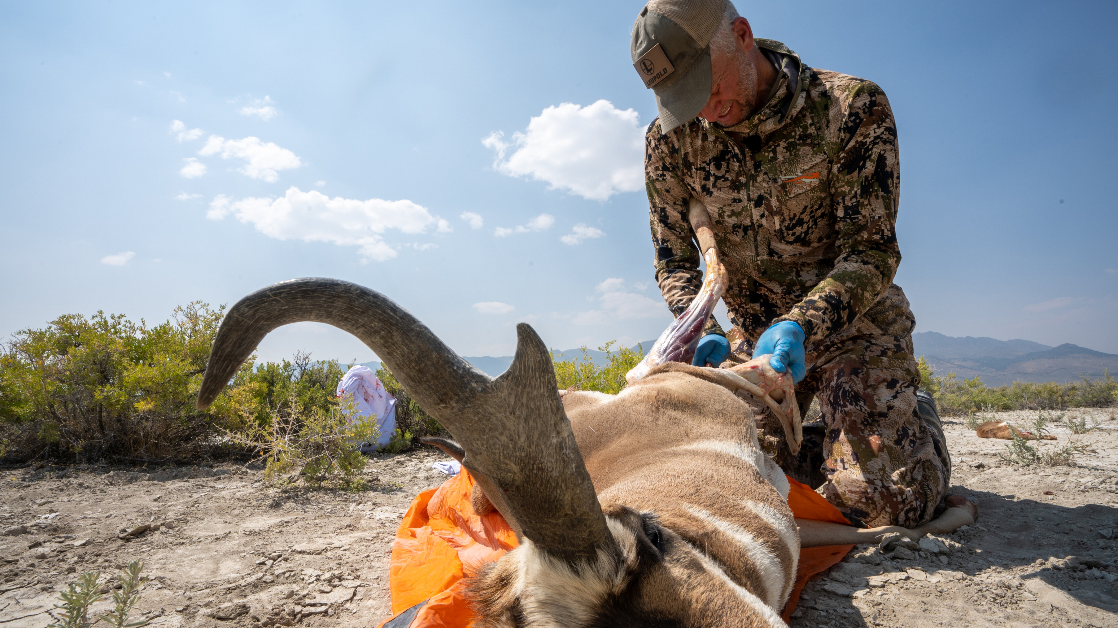 Ch. 11 - After the Shot: Meat & Trophy Care