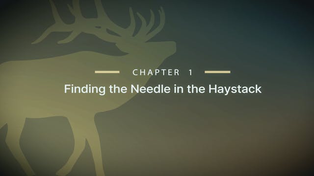 Module 7 - Chapter 1: Finding the Nee...