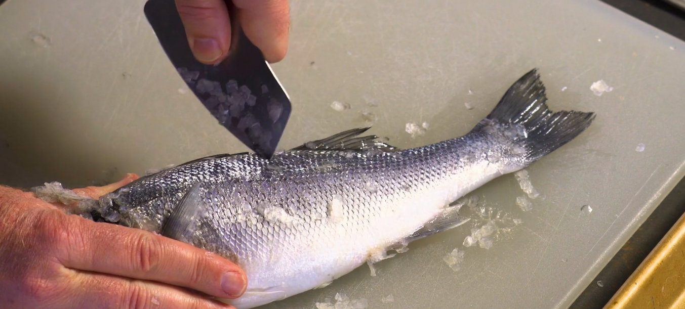 Chapter 2: Gutting & Scaling Fish