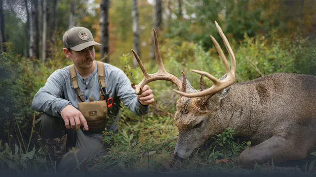 Five Ways To Be a Better Whitetail De...