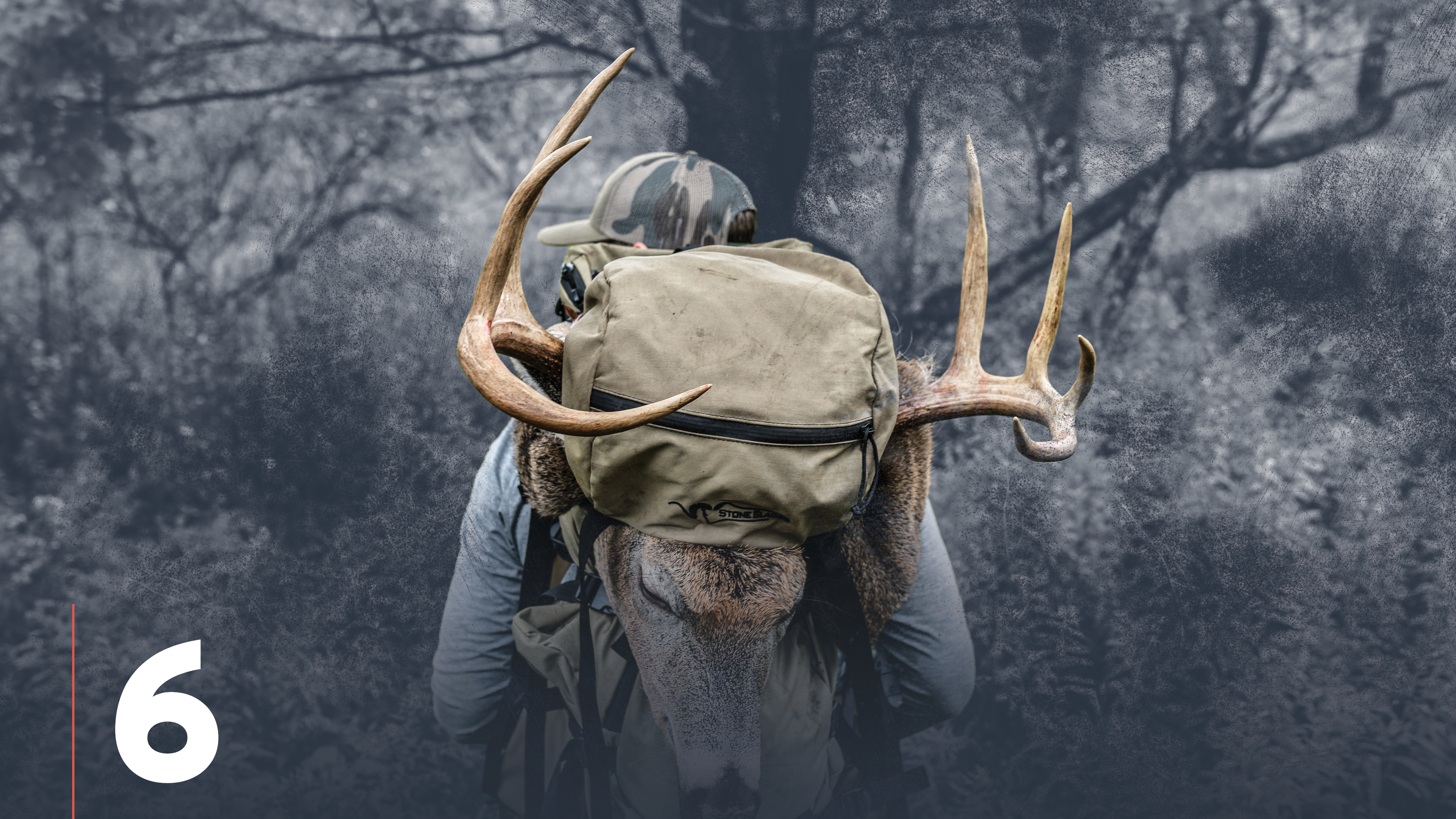 Identifying Key Food Sources For Whitetail Deer