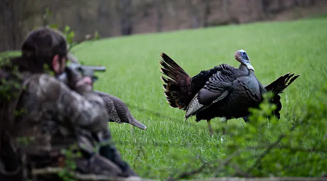 Chapter 4: Turkey Vest Arsenal