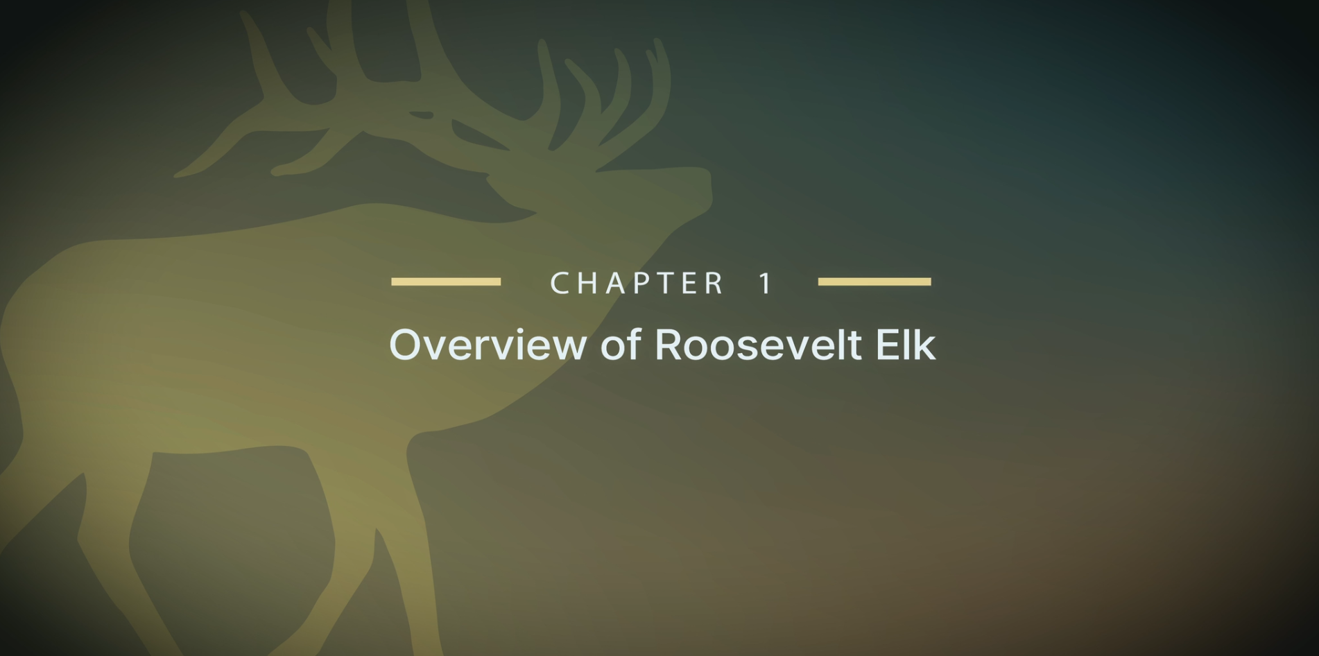 Module 16 - Chapter 1: Overview of Roosevelt Elk