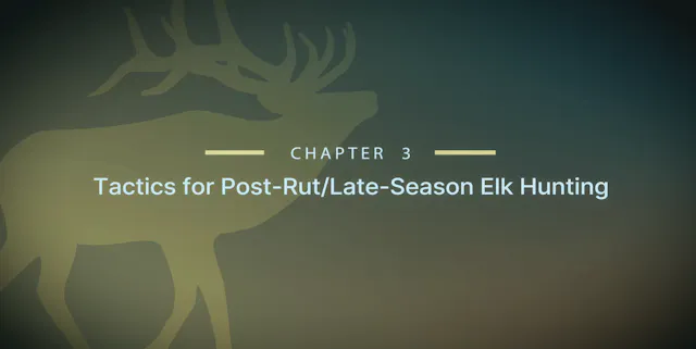 Module 15 - Chapter 3: Tactics for Po...