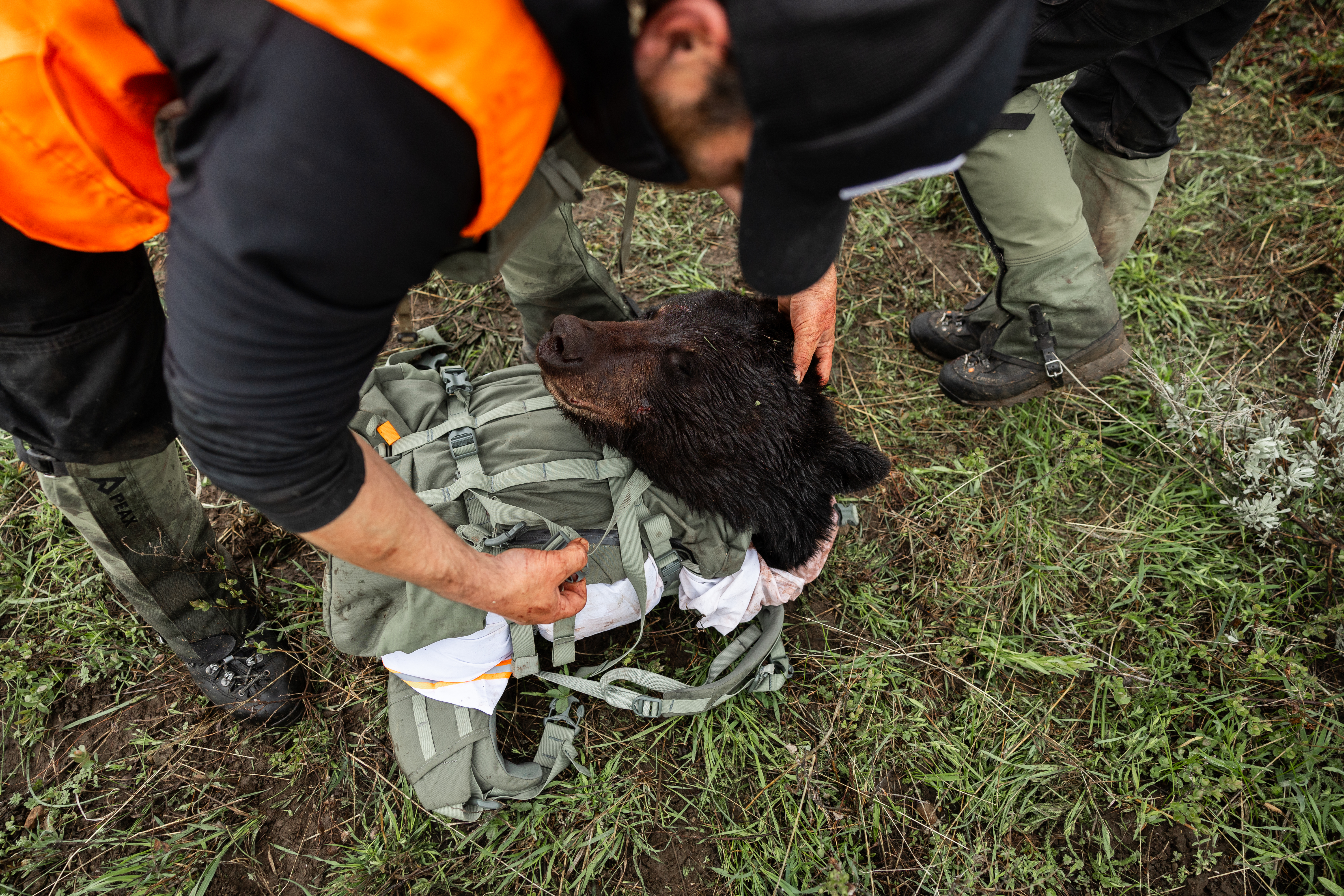 Chapter 7: After the Shot