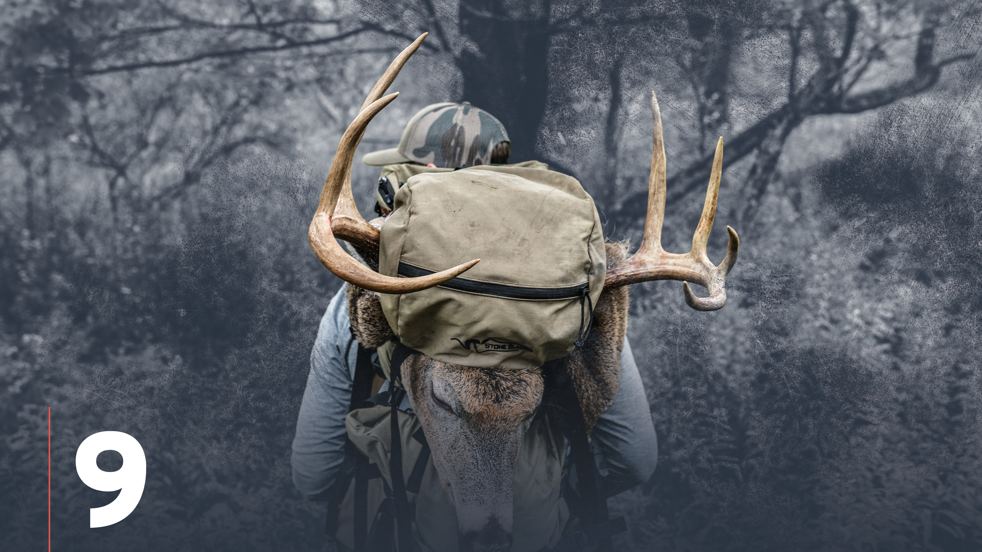 Whitetail Deer Shed Hunting