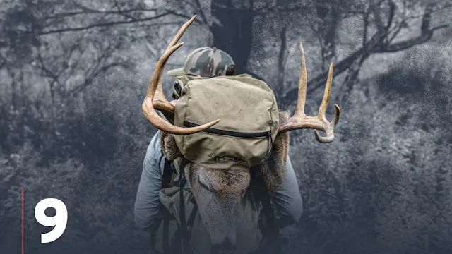 Whitetail Deer Shed Hunting