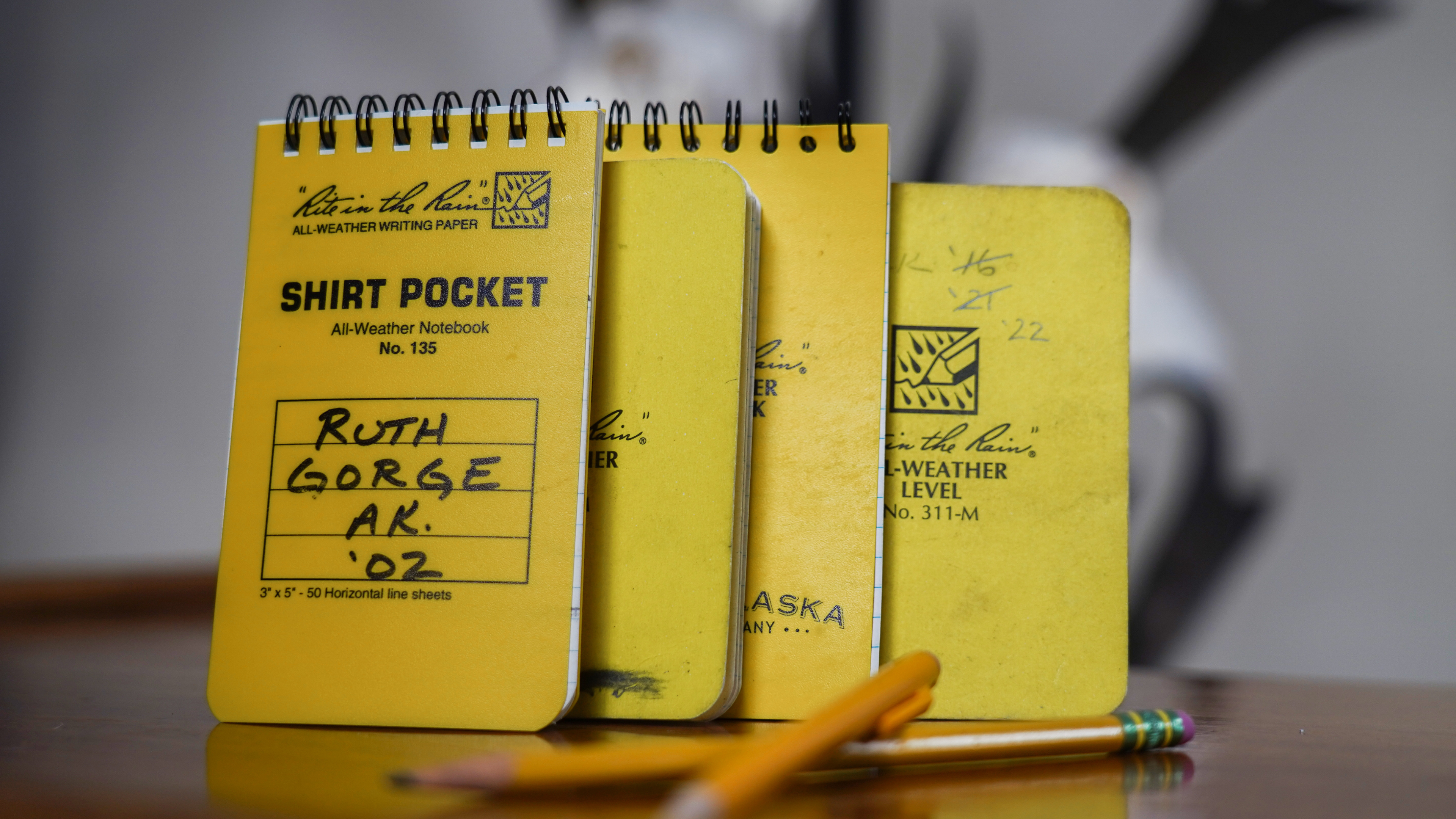 Ch. 15 - Postseason Hunt Lessons Learned