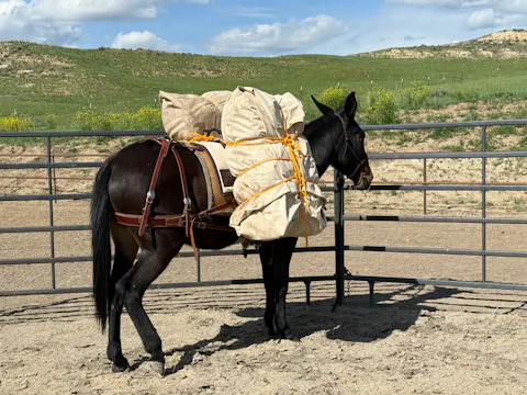 Panniers: Soft and Pack Boxes