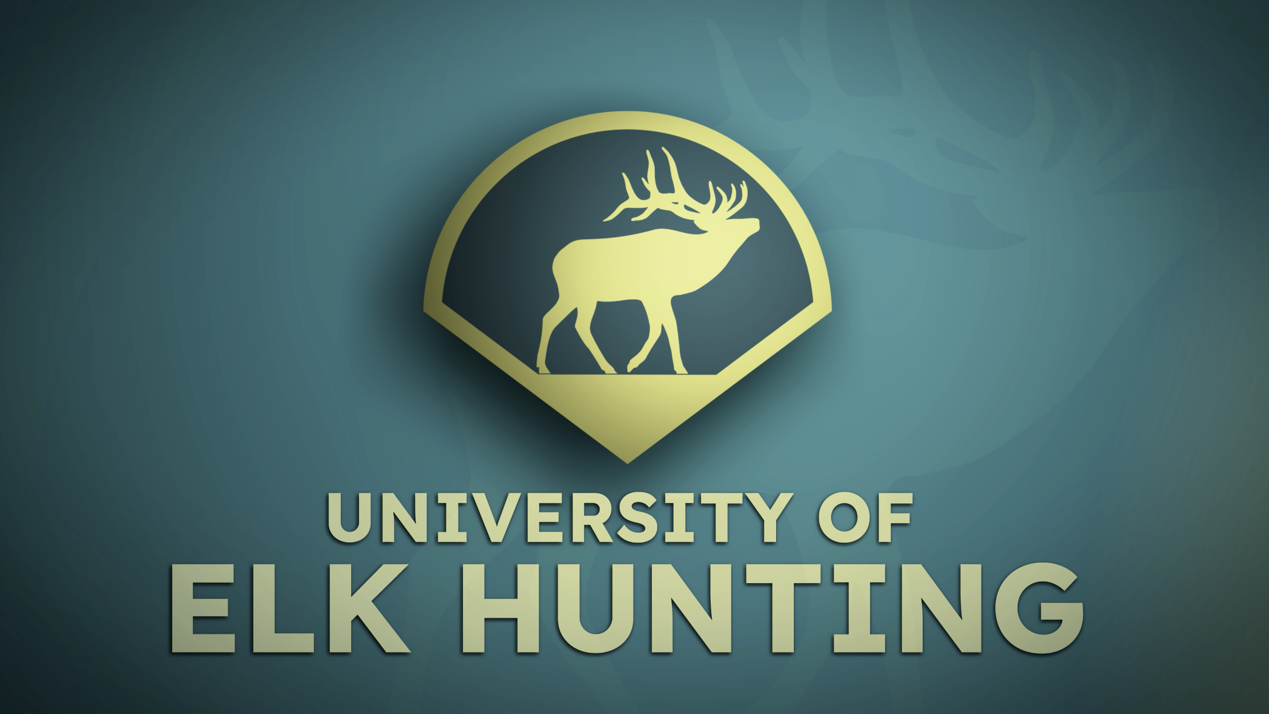University of Elk Hunting