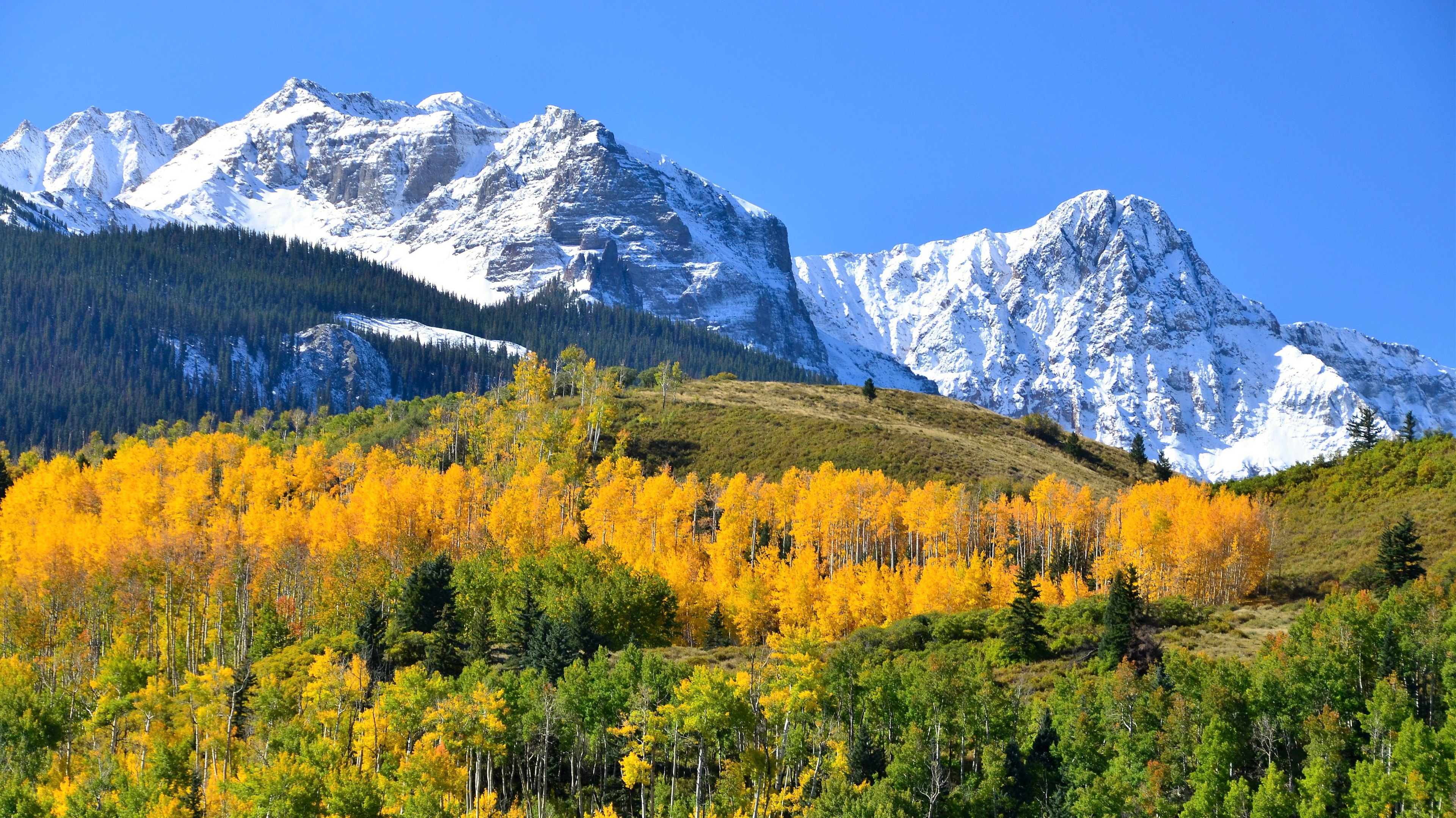 Ch. 2 - Mule Deer Habitat