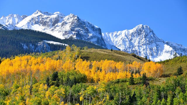 Ch. 2 - Mule Deer Habitat