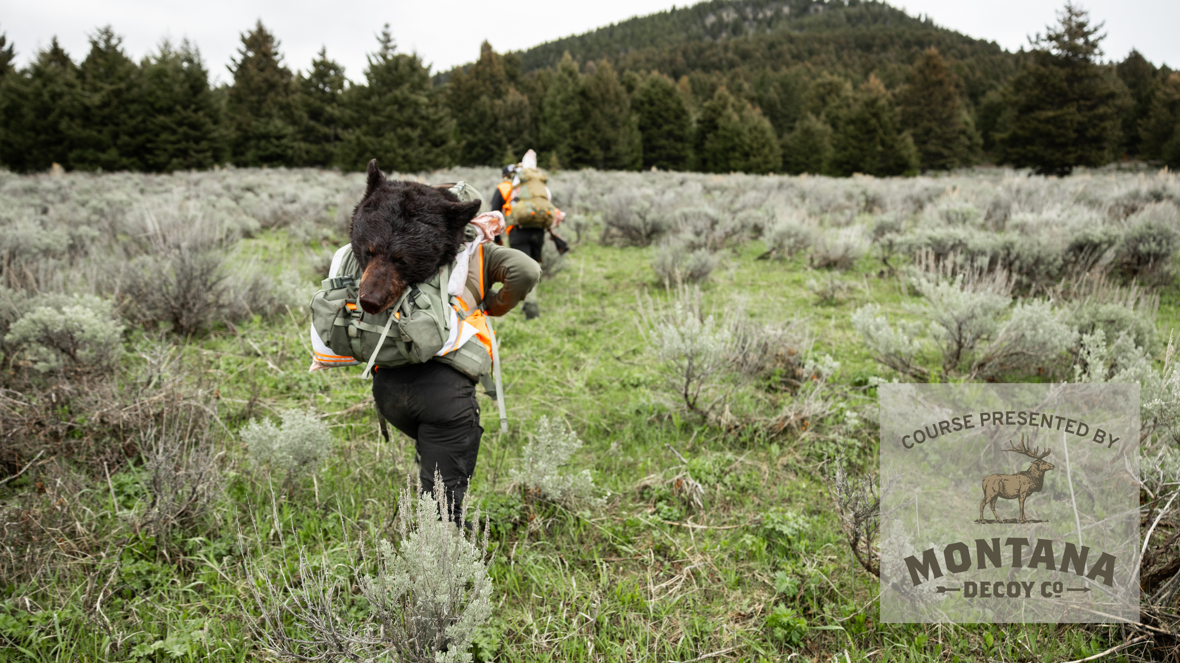 Spot-and-Stalk Bear Hunting Presented by Montana Decoy