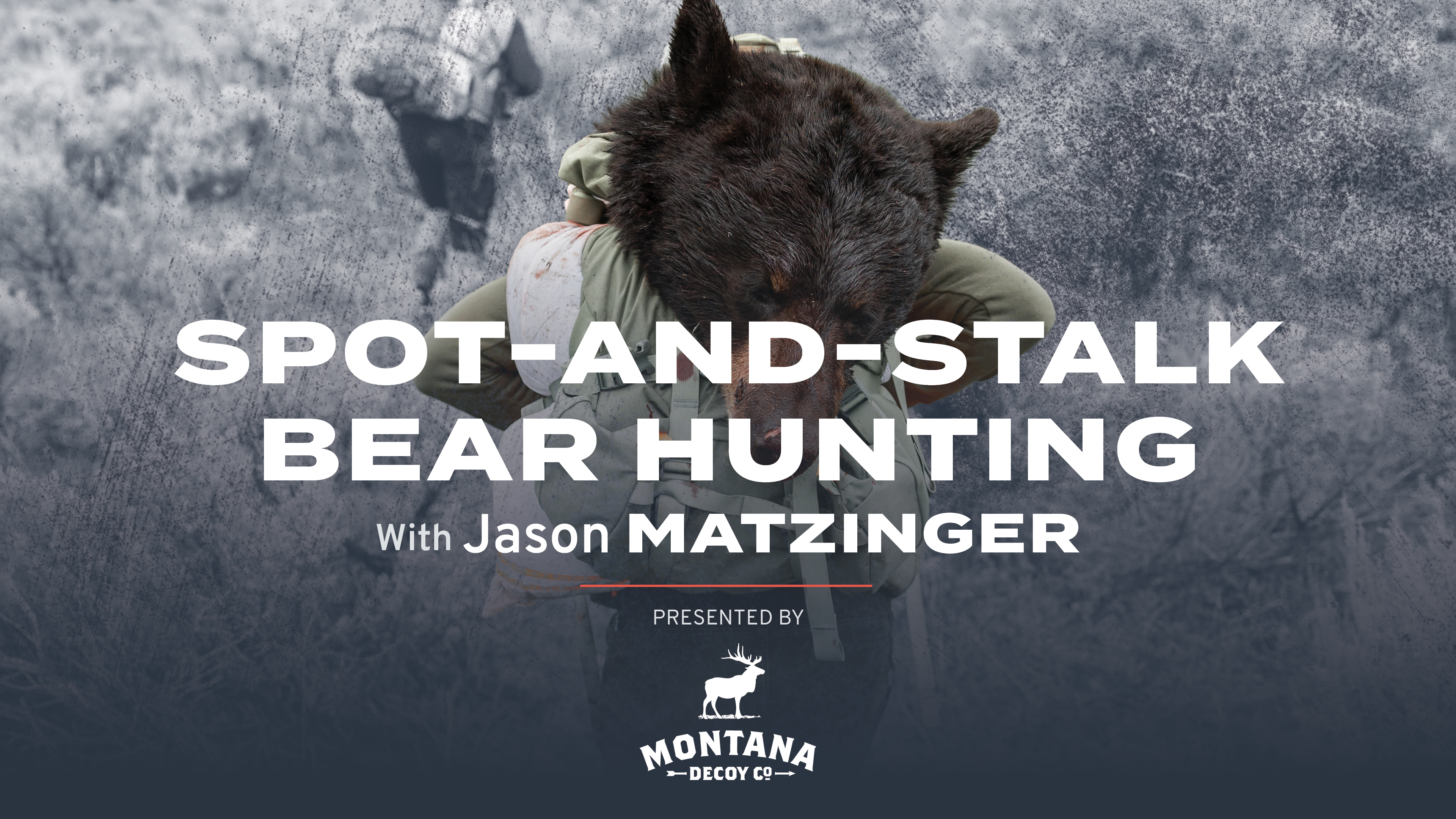 Spot-and-Stalk Bear Hunting Presented by Montana Decoy