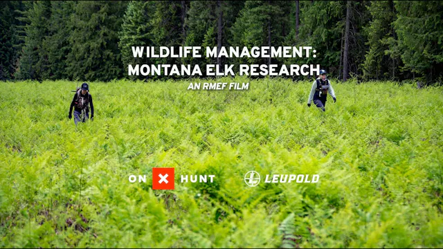 Wildlife Management: Montana Elk Rese...