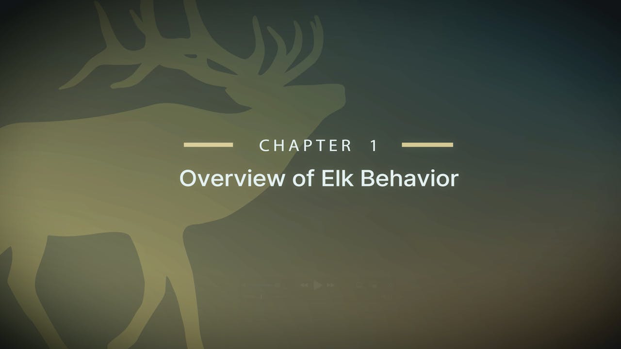 Module 6 - Chapter 1: Overview of Elk Behavior - OutdoorClass // The ...