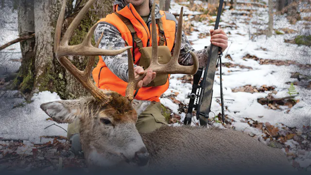 Top Ten Scouting Whitetail Deer Takea...