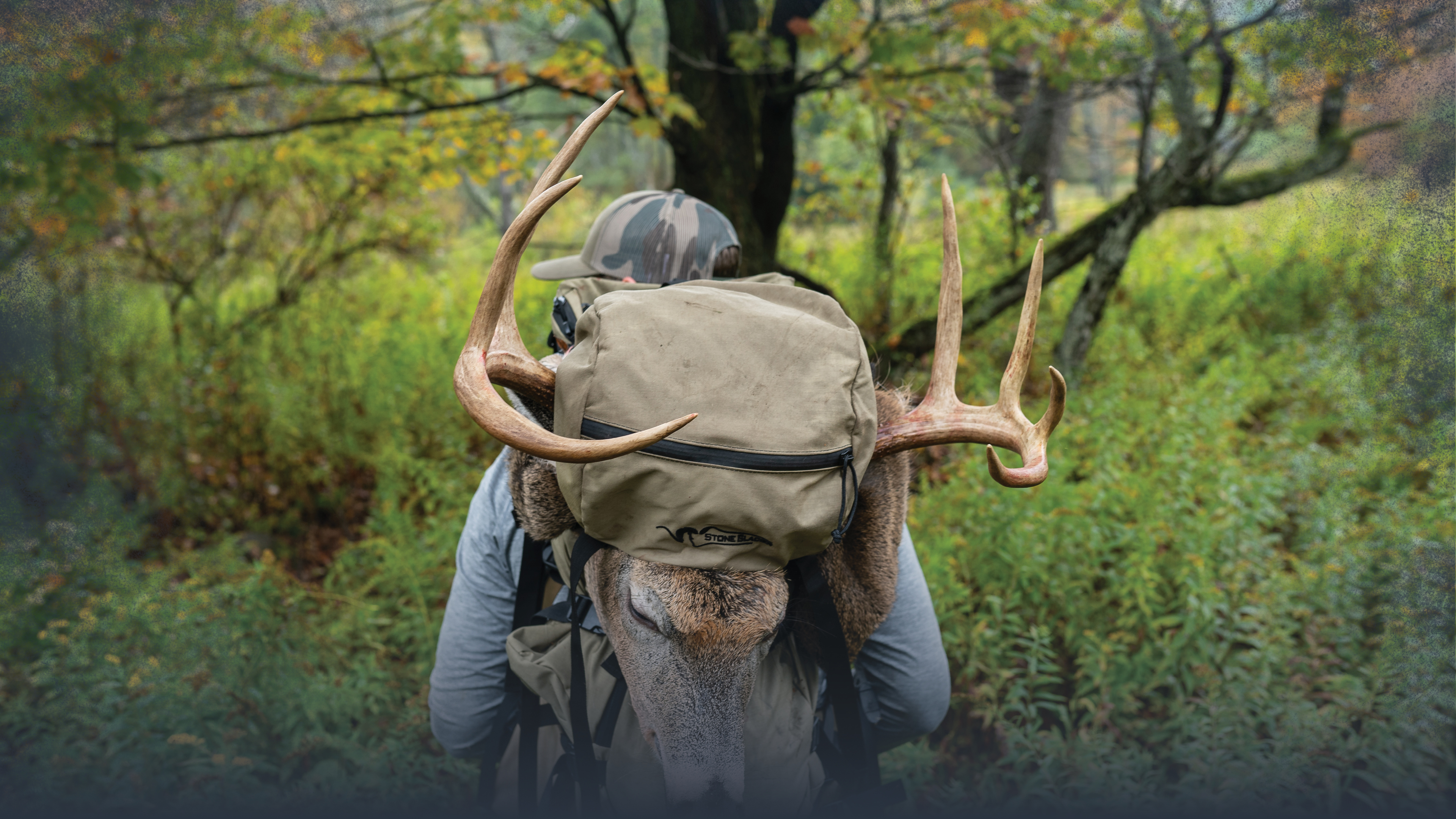 Introduction to Scouting Big Woods Whitetail Bucks