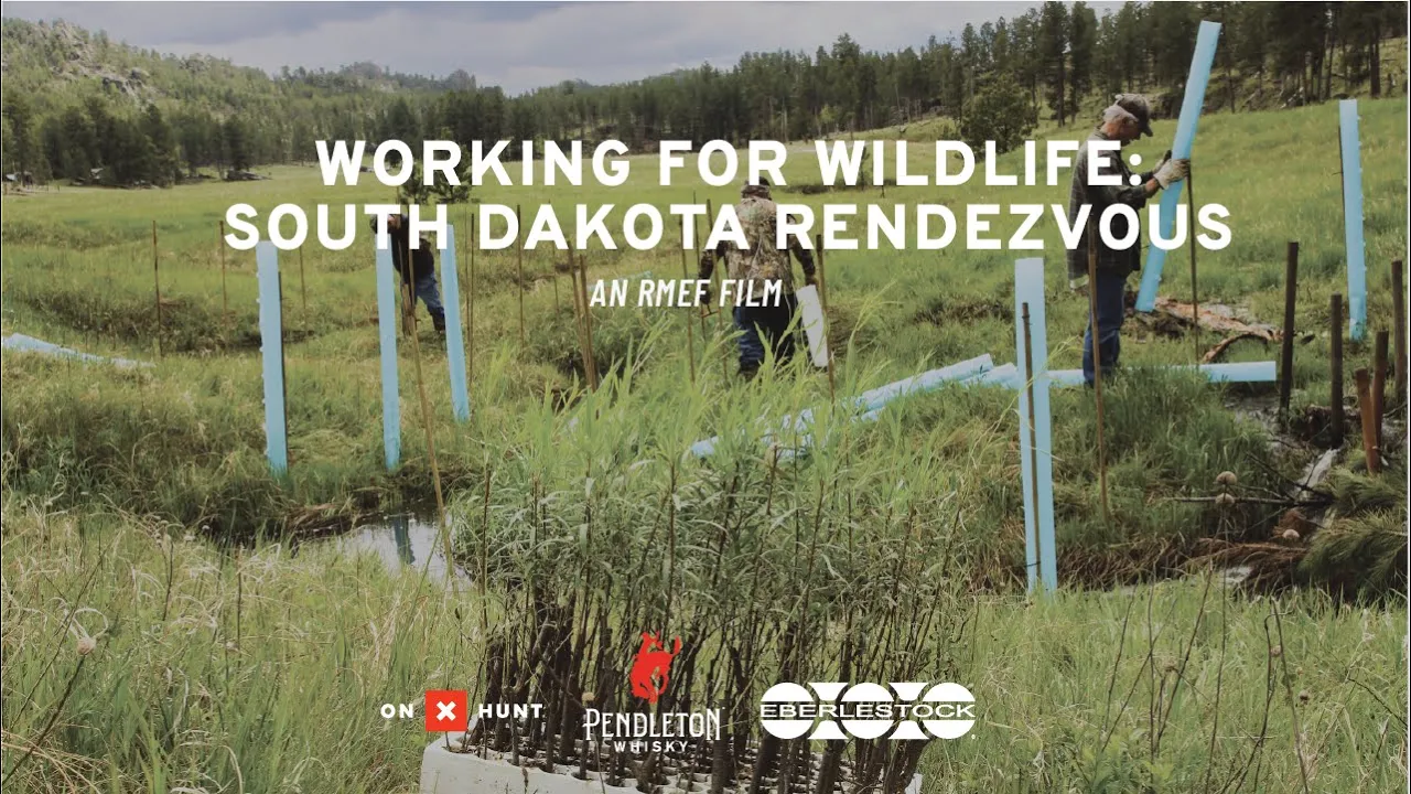 Working for Wildlife: South Dakota Rendezvous
