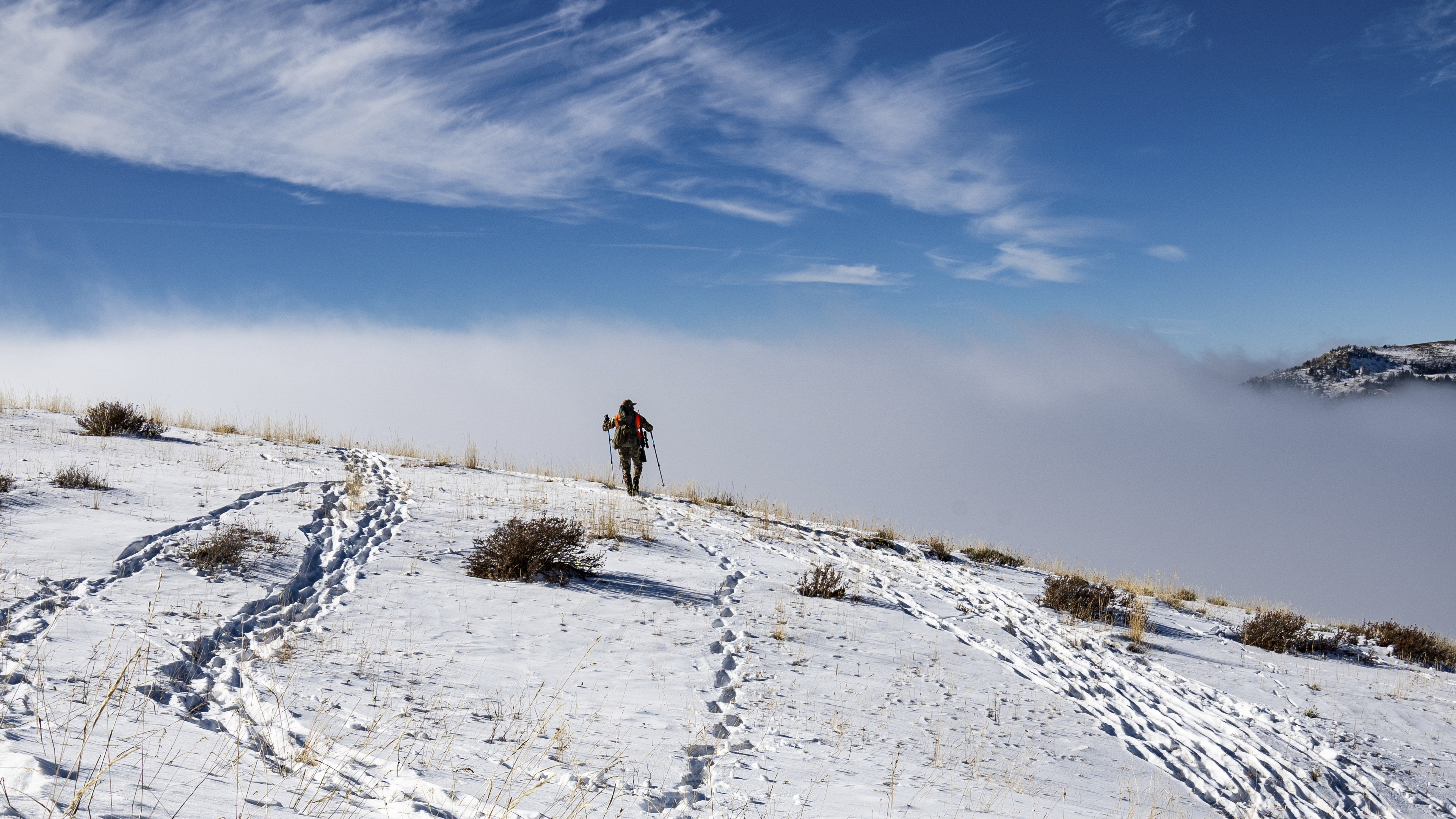 Ch. 8 - Hunting Pressure