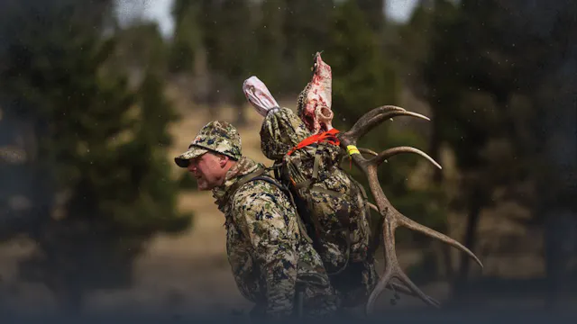 Postseason Hunt Lessons Learned