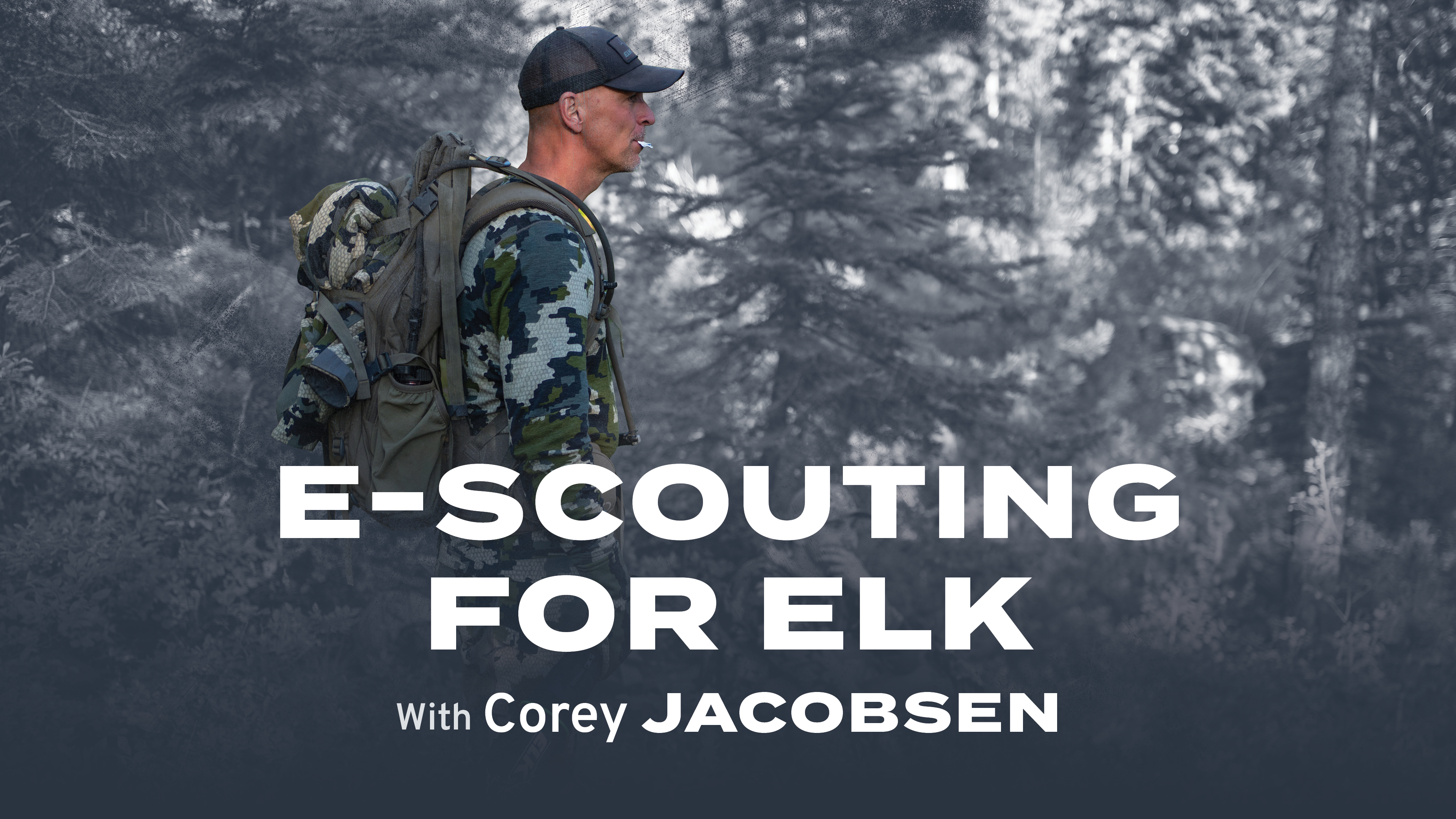E-Scouting for Elk with Corey Jacobsen