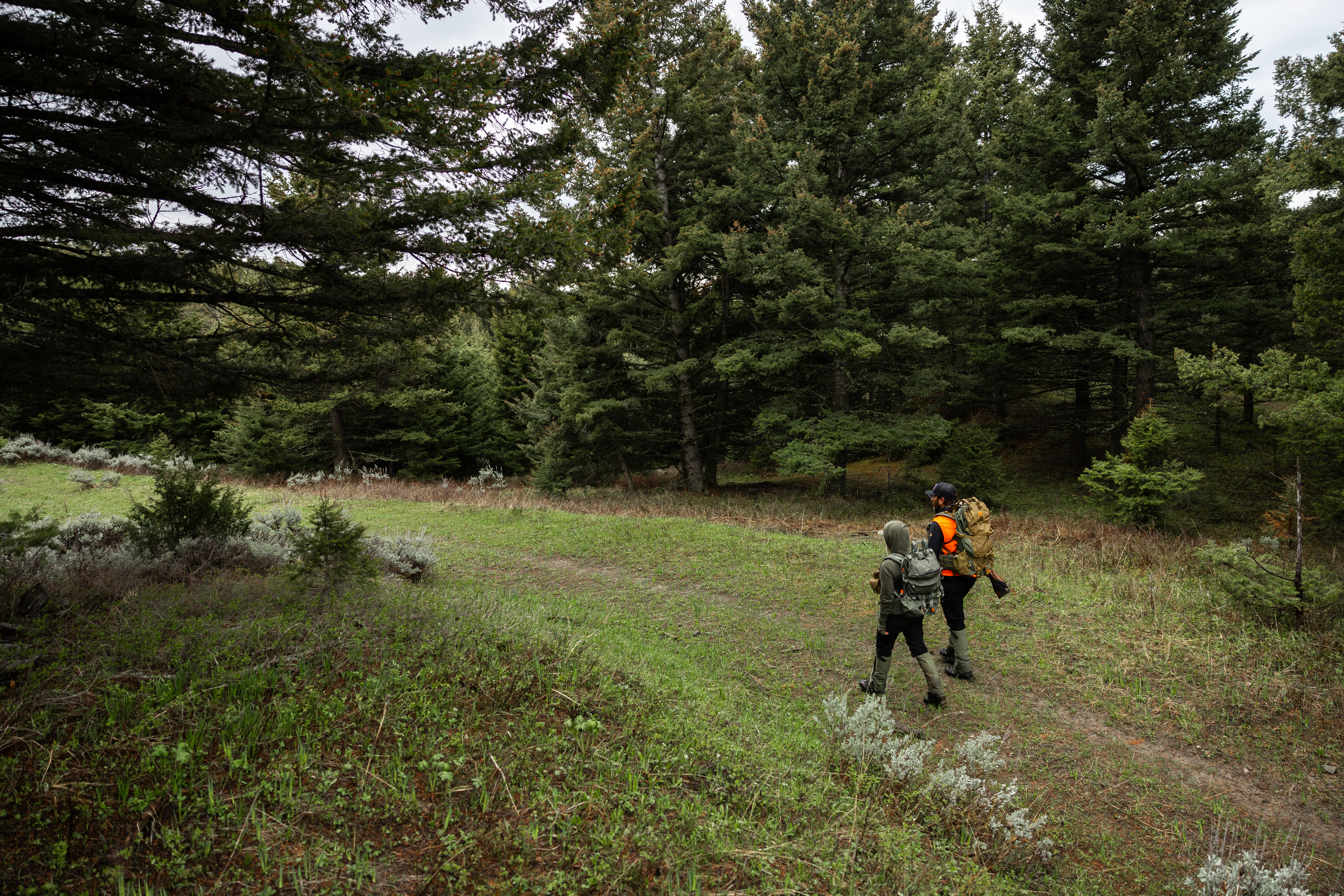 Chapter 3: Black Bear Habitat & Behavior