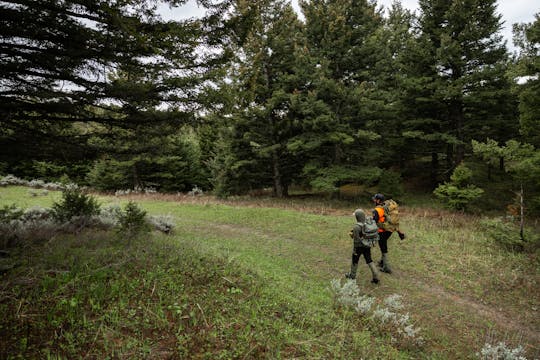 Chapter 3: Black Bear Habitat & Behavior