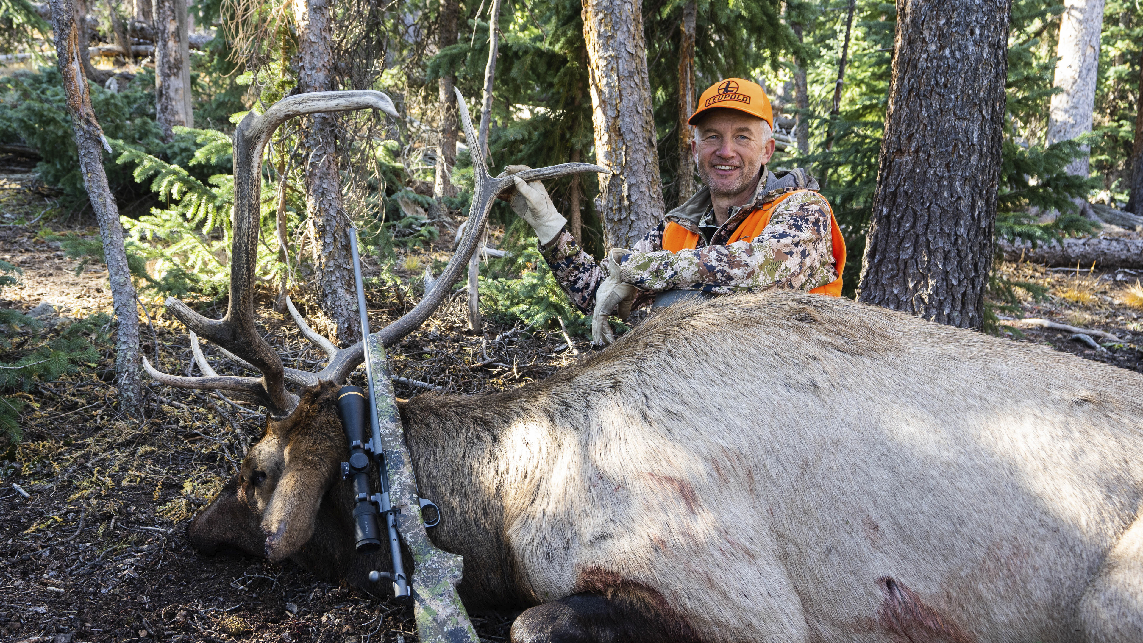 Ch. 17 - Rifle Elk Hunting Top Ten Things to Remember