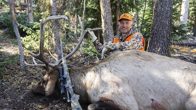 Ch. 17 - Rifle Elk Hunting Top Ten Things to Remember