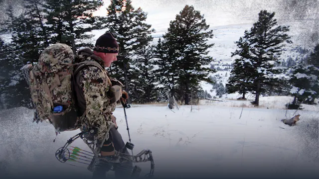 Backcountry Weather