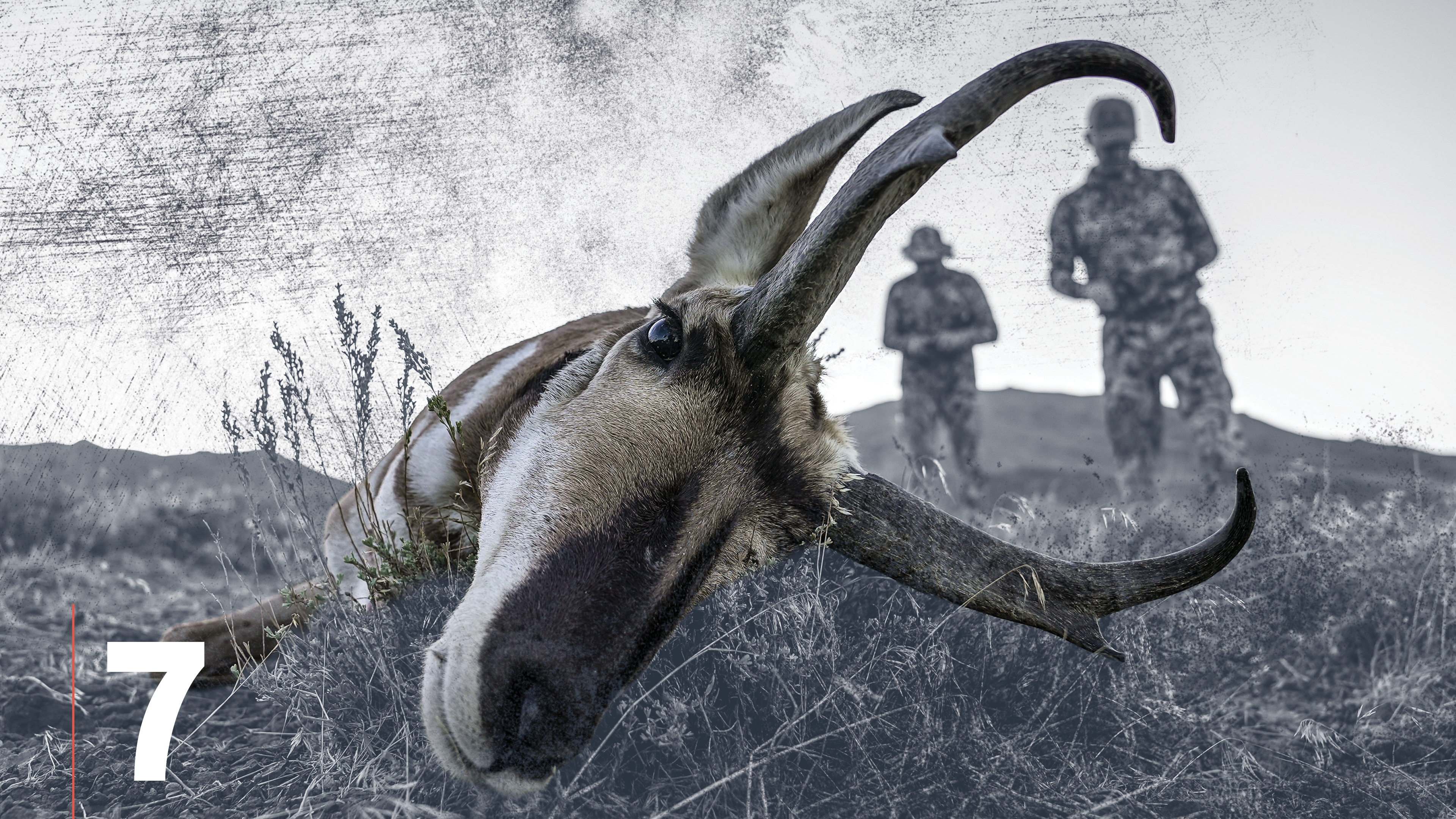 Pronghorn Antelope Equipment & Optics