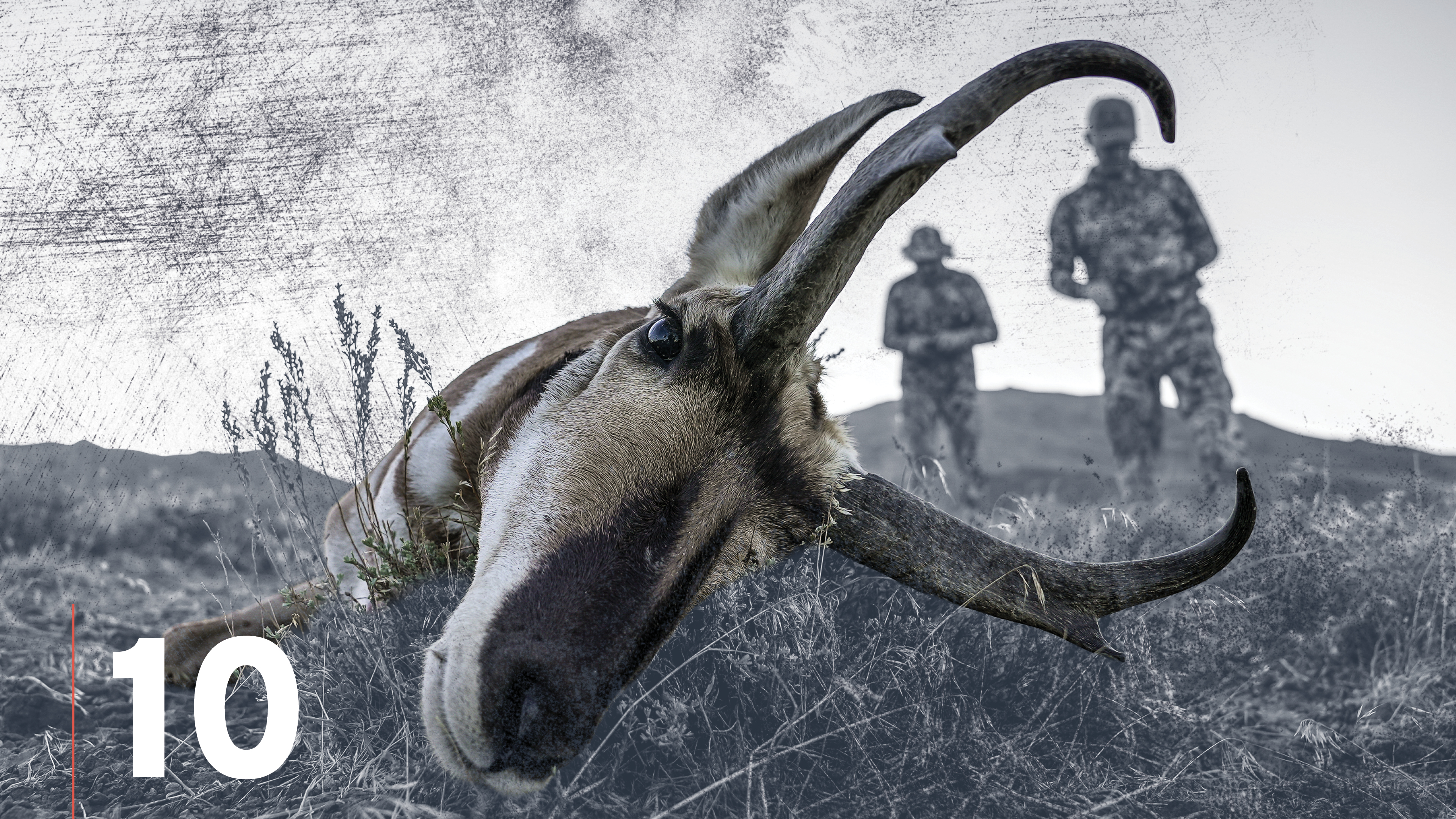 Pronghorn Antelope Cartridges
