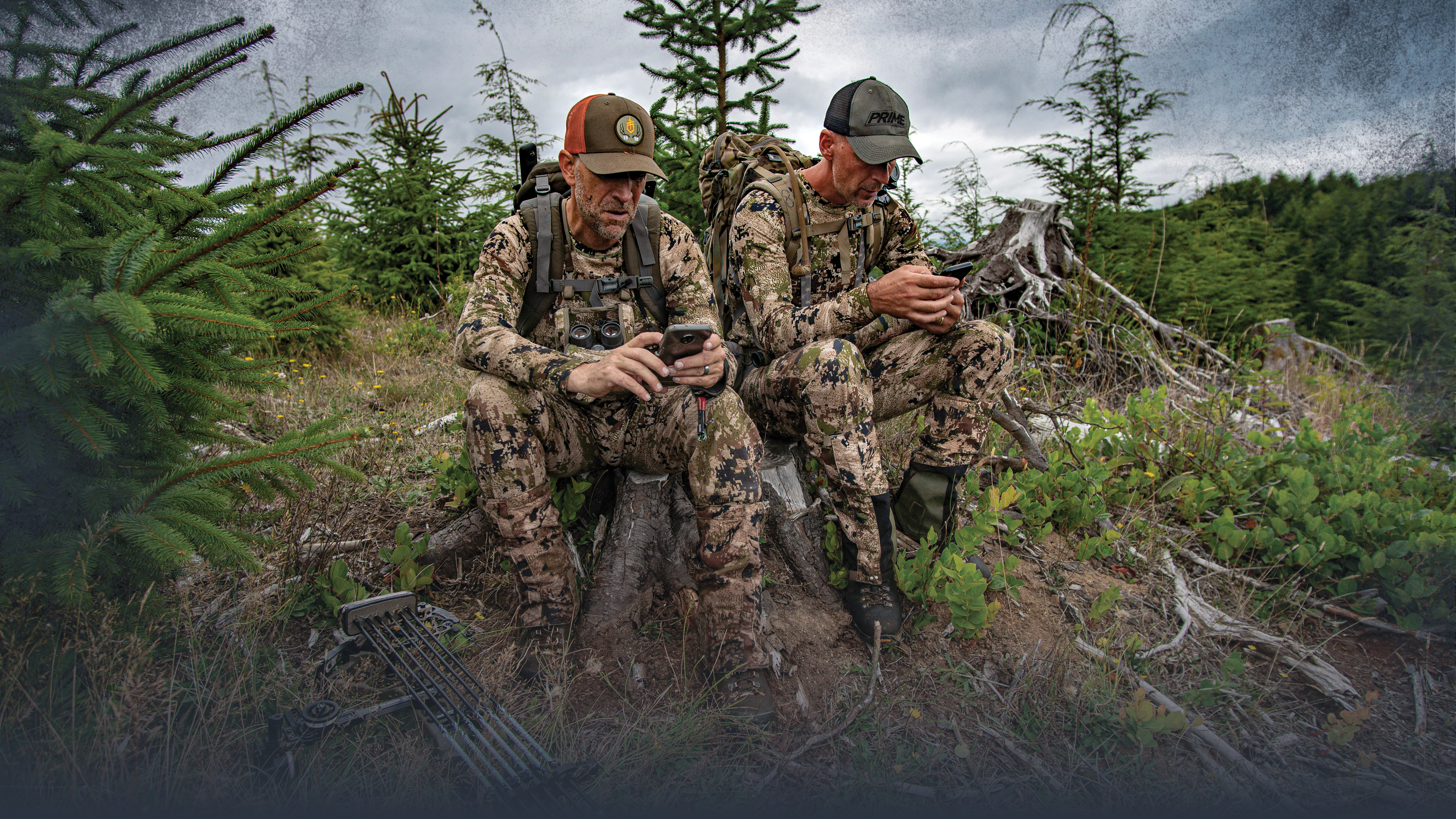 Conclusion: E-Scouting Elk