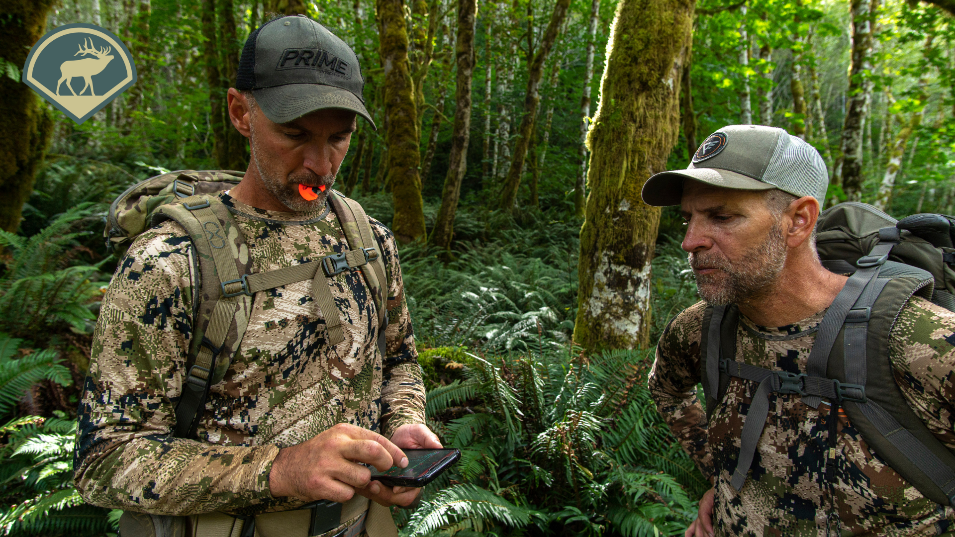 Chapter 1 - Introduction to E-Scouting for Elk 