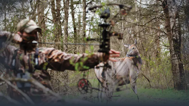 Supplements to Calling Elk: Raking, D...