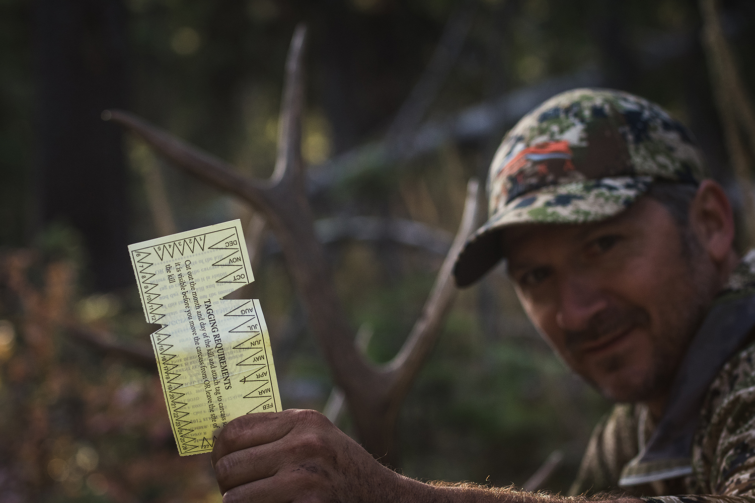 Chapter 8 - Conclusion: E-Scouting Elk